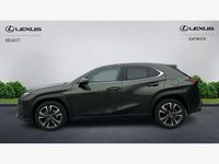 Used Lexus UX 300h 2025 Green SUV