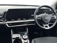 Used Kia Sportage 157 HP (115 kW) 2024 Black SUV