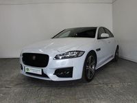 Used Jaguar XF R-Sport 180 HP (132 kW) 2015 White Sedan