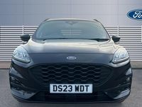 Used Ford Kuga ST-Line 150 HP (110 kW) 2023 Black SUV