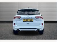 Used Ford Kuga ST-Line X 150 HP (110 kW) 2022 White SUV