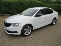 Used Skoda Octavia SE Drive 150 HP (110 kW) 2020 White Hatchback