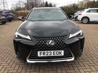 Used Lexus UX 184 HP (135 kW) 2023 Black SUV