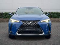 Used Lexus UX 300h 199 HP (146 kW) 2026 Blue SUV