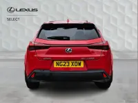 Used Lexus UX 250h 180 HP (132 kW) 2023 Red SUV