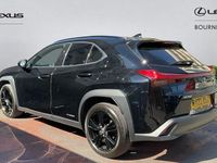 Used Lexus UX 250h 184 HP (135 kW) 2024 SUV