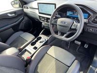Used Ford Kuga ST-Line X 239 HP (175 kW) 2025 Grey SUV