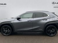 Used Lexus UX 250h 184 HP (135 kW) 2024 SUV