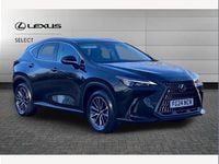 Used Lexus NX350h 245 HP (180 kW) 2024 Black SUV