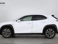 Used Lexus UX 250h Sport Design Packet 2023 White SUV
