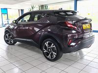 Used Toyota C-HR Design 122 HP (89 kW) 2022 Mauve/purple SUV