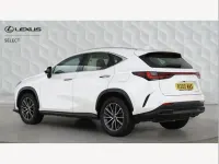 Used Lexus NX350h 239 HP (175 kW) 2022 White SUV