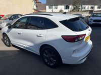 Used Ford Kuga ST-Line 150 HP (110 kW) 2023 White SUV