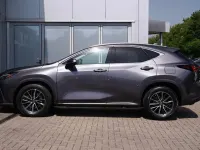 Used Lexus NX450h+ 301 HP (221 kW) 2023 Grey SUV