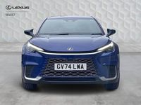 Używany Lexus LBX 2024 Niebieski SUV