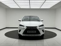 Used Lexus NX300h 197 HP (144 kW) 2020 White SUV