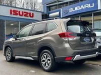 Used Subaru Forester XE 150 HP (110 kW) 2019 Gold SUV