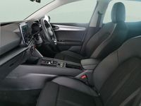 Used Cupra Leon 150 HP (110 kW) 2023 Black Hatchback