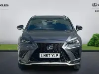 Used Lexus NX300h Sport Line 197 HP (144 kW) 2017 Grey SUV