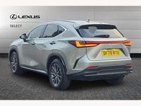 Used Lexus NX450h+ 292 HP (214 kW) 2025 Sonic titanium SUV