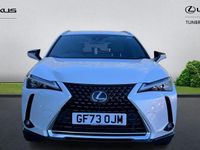 Used Lexus UX 2023 White SUV