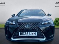 Used Lexus UX 150 kW (204 HP) 2024 SUV