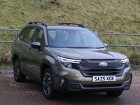 Ny Subaru Forester 2025 Grön SUV