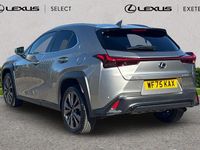 Used Lexus UX Sport Design Packet 199 HP (146 kW) 2025 Sonic titanium SUV