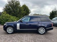 Used Land Rover Range Rover Vogue 258 HP (189 kW) 2018 Blue SUV