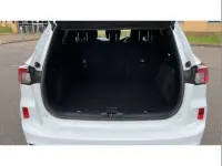 Used Ford Kuga ST-Line 147 HP (108 kW) 2020 White SUV