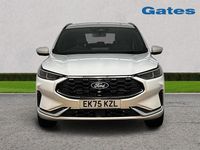 New Ford Kuga ST-Line 2025 White SUV