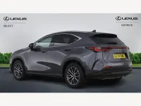 Used Lexus NX450h+ 2024 Grey SUV