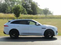 Used Jaguar F-Pace Chequered Flag 2019 White SUV