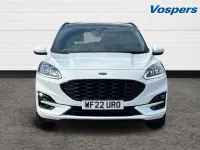 Used Ford Kuga ST-Line X 150 HP (110 kW) 2022 White SUV