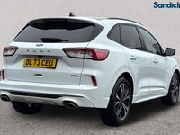 Used Ford Kuga ST-Line X 190 HP (139 kW) 2023 White SUV