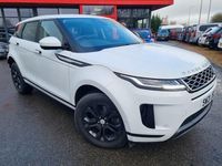 Used Land Rover Range Rover evoque S 163 HP (119 kW) 2021 White Estate