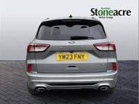 Used Ford Kuga ST-Line X 222 HP (163 kW) 2023 Silver SUV