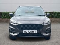 Used Ford Kuga ST-Line X 150 HP (110 kW) 2023 SUV