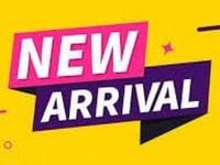 Used Dacia Sandero Lauréate 90 HP (66 kW) 2013