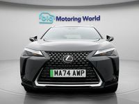 Used Lexus UX 150 kW (204 HP) 2024 SUV