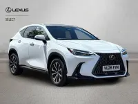 Used Lexus NX450h+ 2026 White SUV