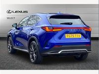 Used Lexus NX450h+ Sport Line 292 HP (214 kW) 2026 Azure blue SUV