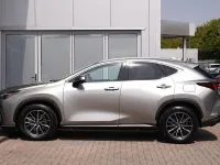 Used Lexus NX450h+ 304 HP (223 kW) 2024 Silver SUV