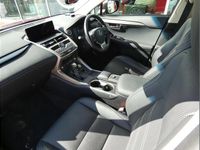 Used Lexus NX300h 194 HP (142 kW) 2019 Red SUV