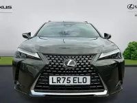 Used Lexus UX 300h 199 HP (146 kW) 2026 SUV