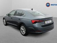 Used Skoda Octavia SE L 150 HP (110 kW) 2024 Hatchback