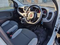 Used Fiat Panda Cross Cross 69 HP (50 kW) 2022 Hatchback