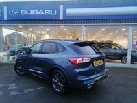 Used Ford Kuga ST-Line 150 HP (110 kW) 2023 Blue SUV