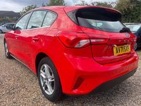 Used Ford Focus Zetec 125 HP (91 kW) 2021 Red Hatchback