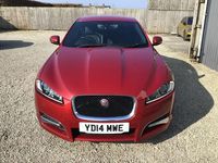 Used Jaguar XF R-Sport 200 HP (147 kW) 2014 Red Sedan